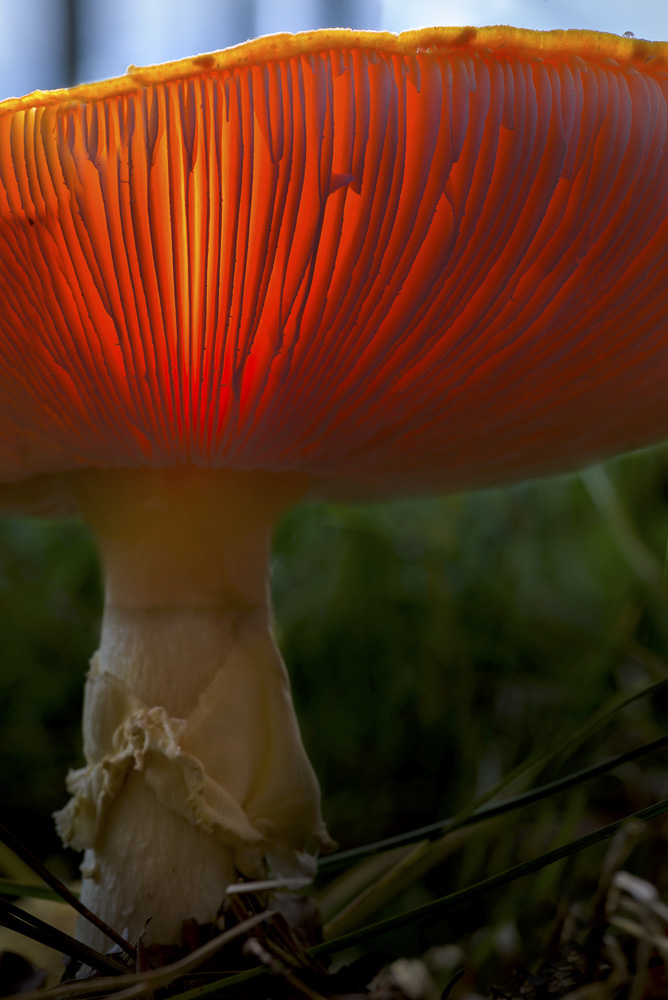 12. Platz Robert Seitz